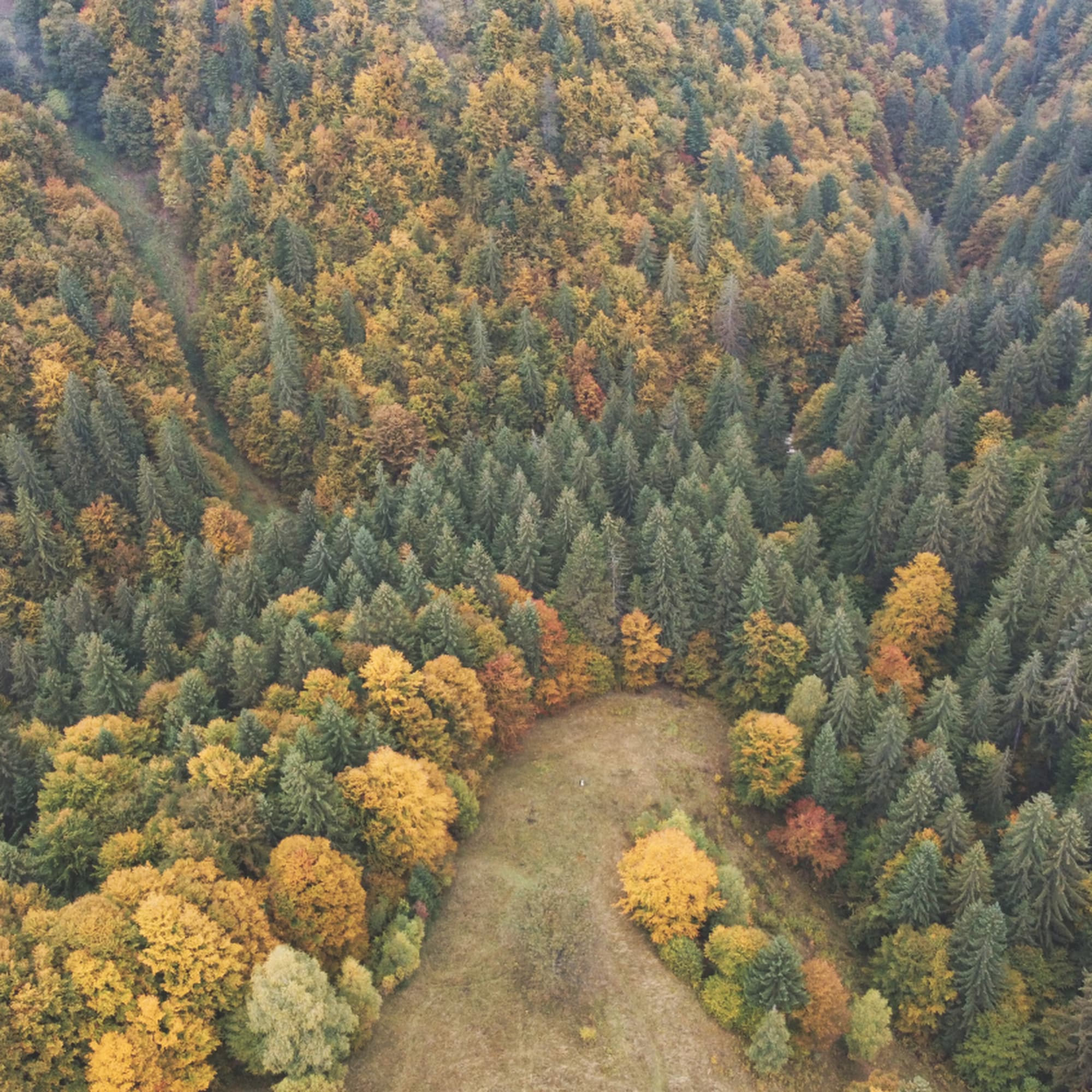 Măgura & Peștera villages - beautiful landscape