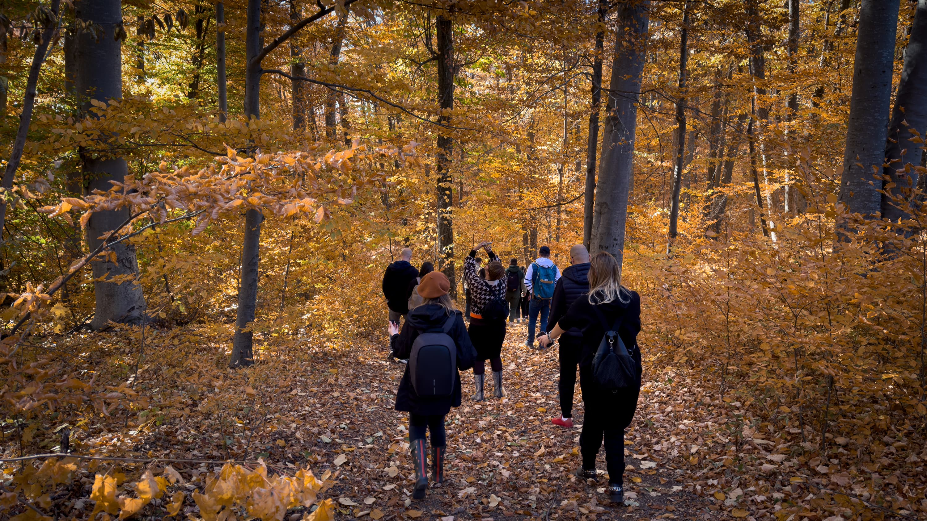 Truffle hunting 05