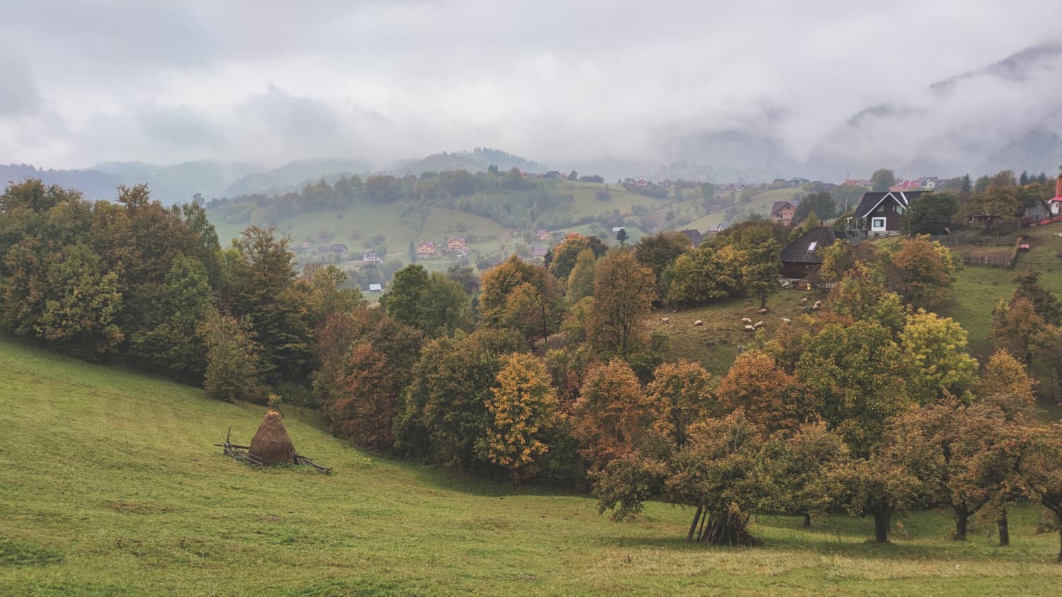 Măgura & Peștera, foggy landscapes