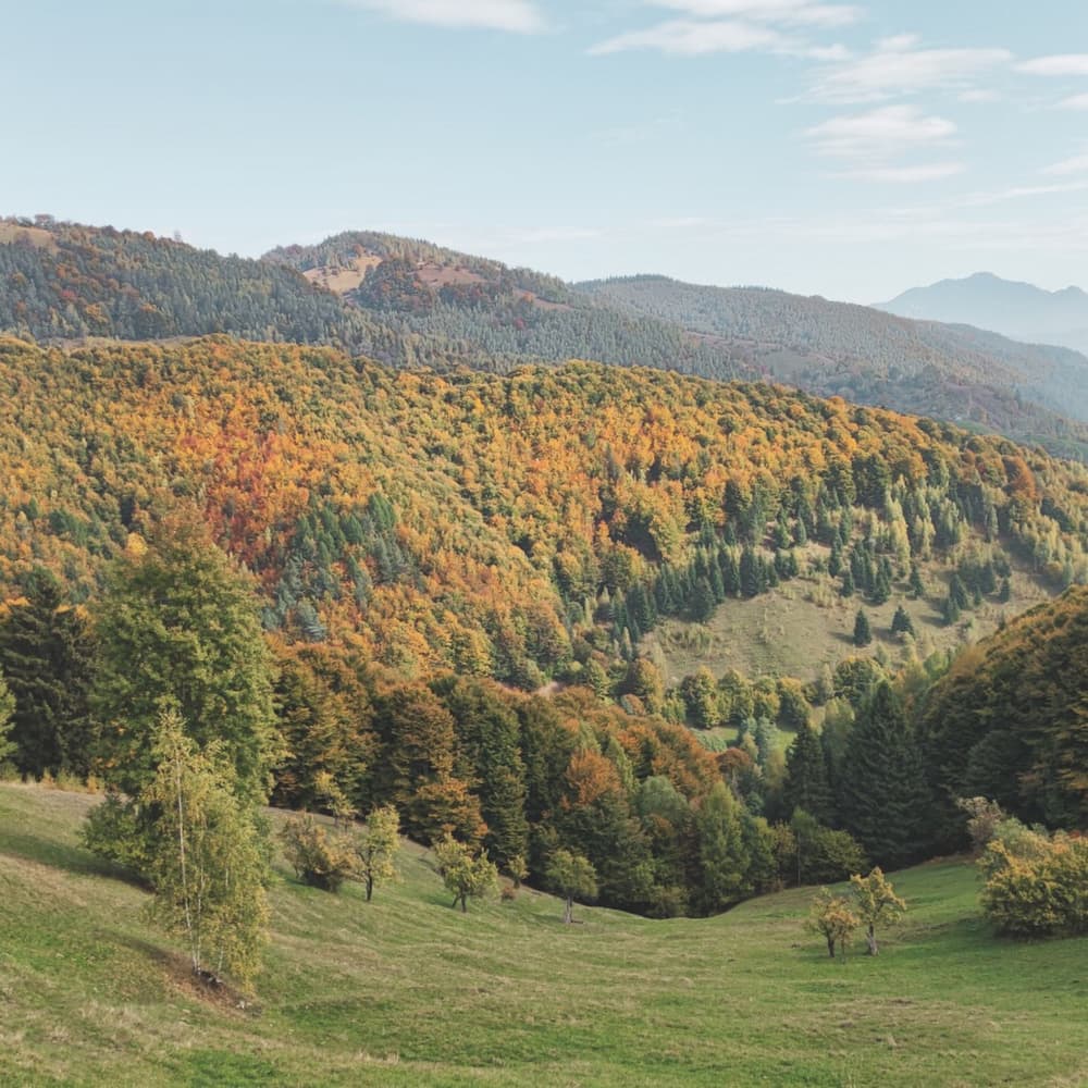 Măgura & Peștera villages, Brașov county, Romania