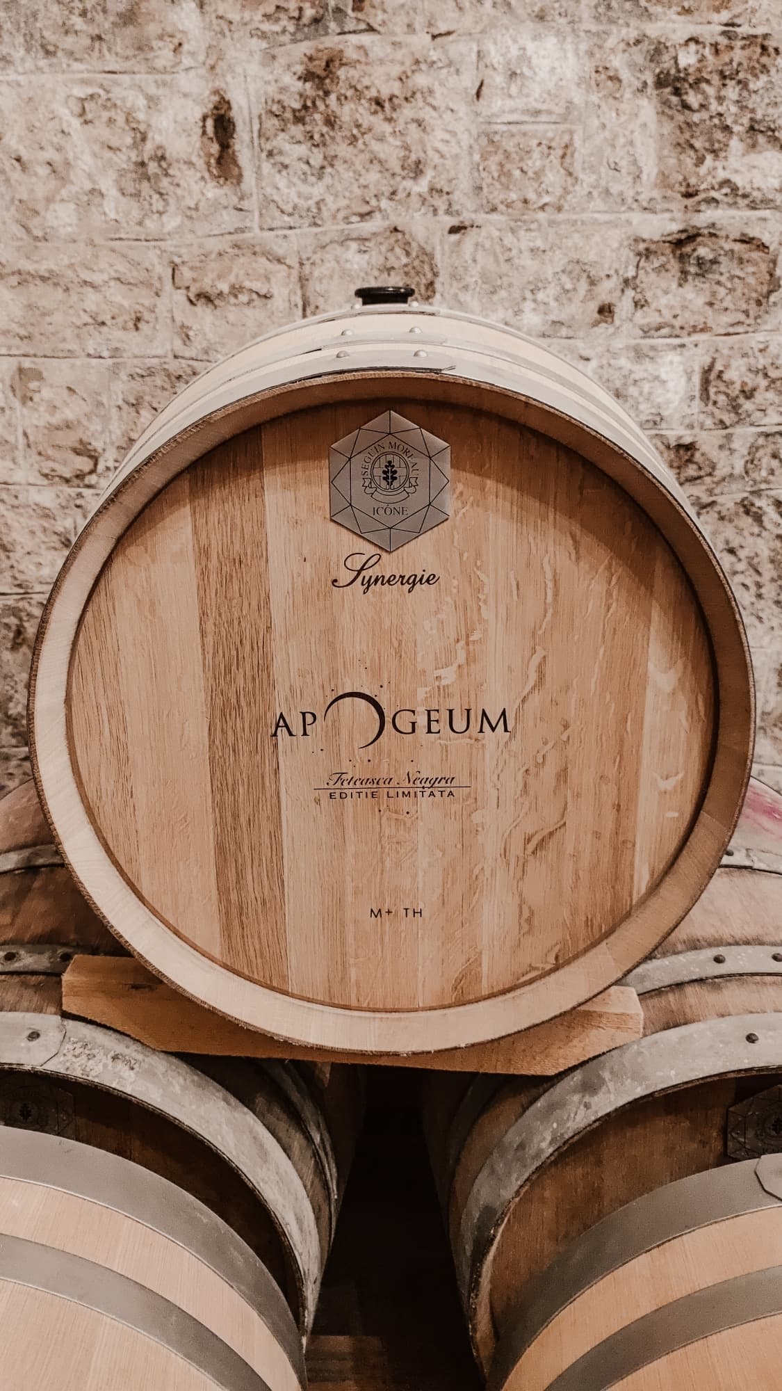 Apogeum Winery - wine tasting experience