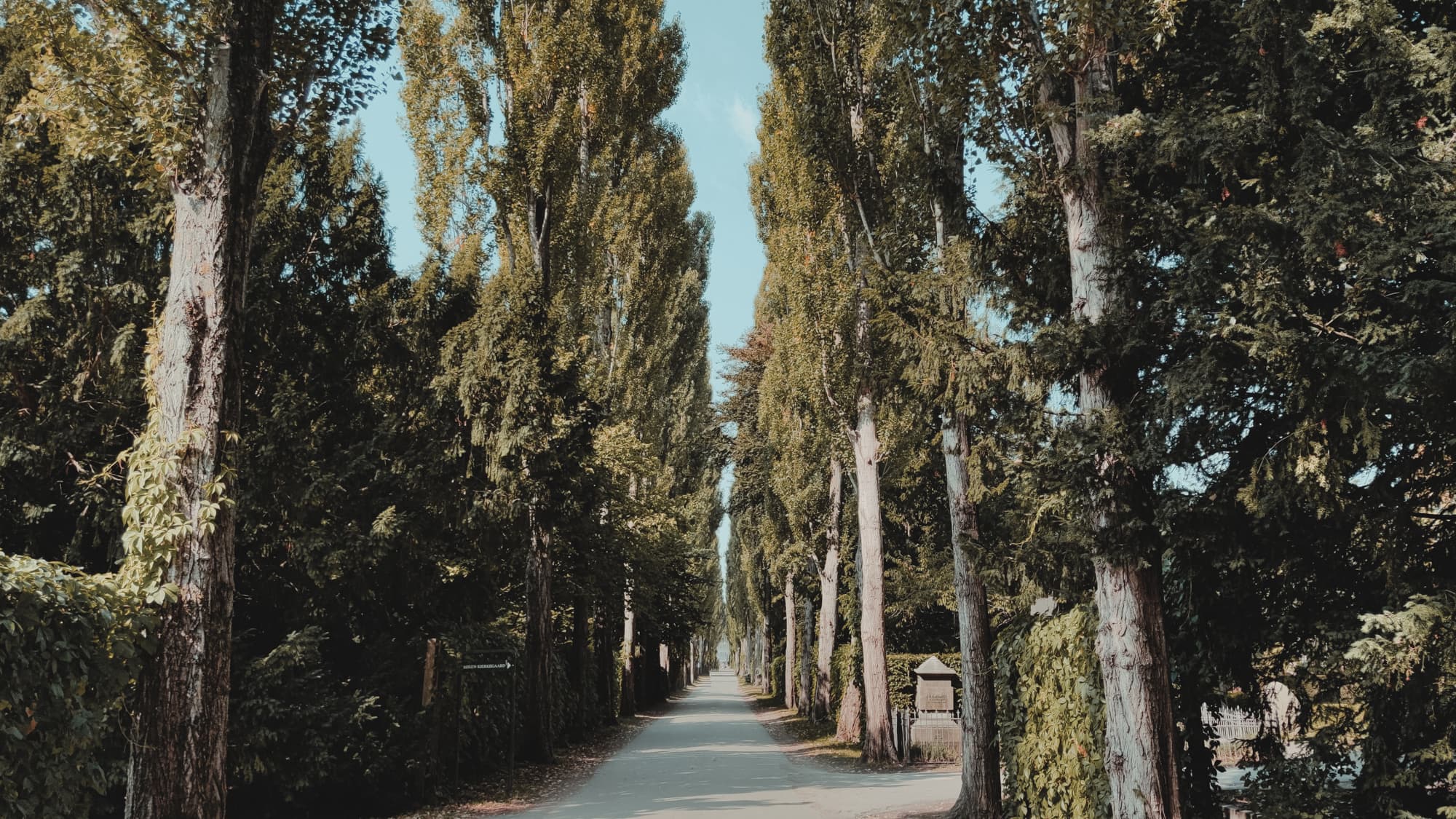 Copenhagen - Assistens Cemetery (Assistens Kirkegård) and/or Vestre Cemetery