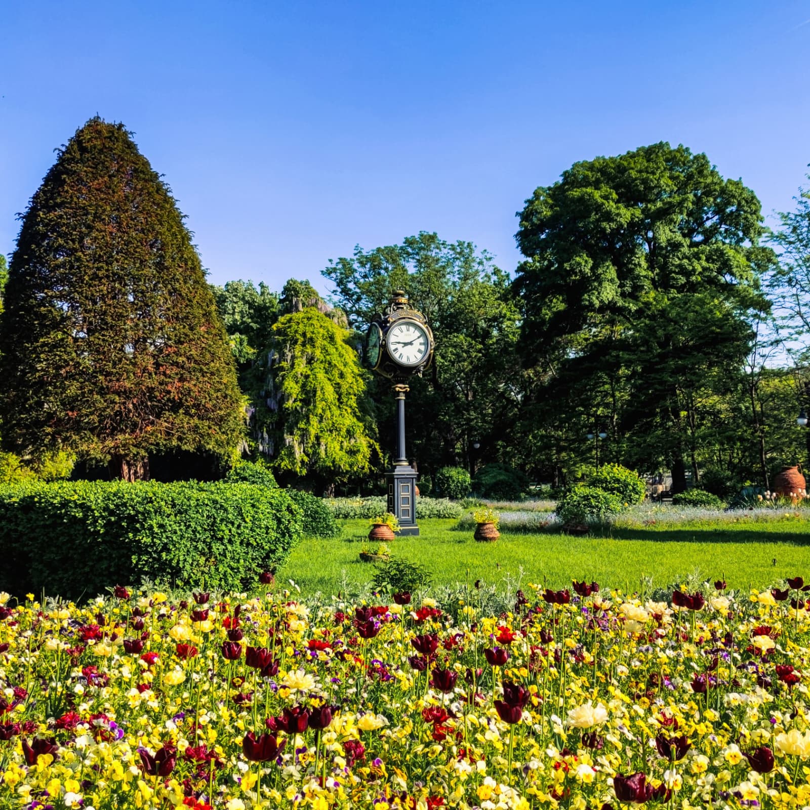 Escape to Cişmigiu Garden, the oldest park in Bucharest