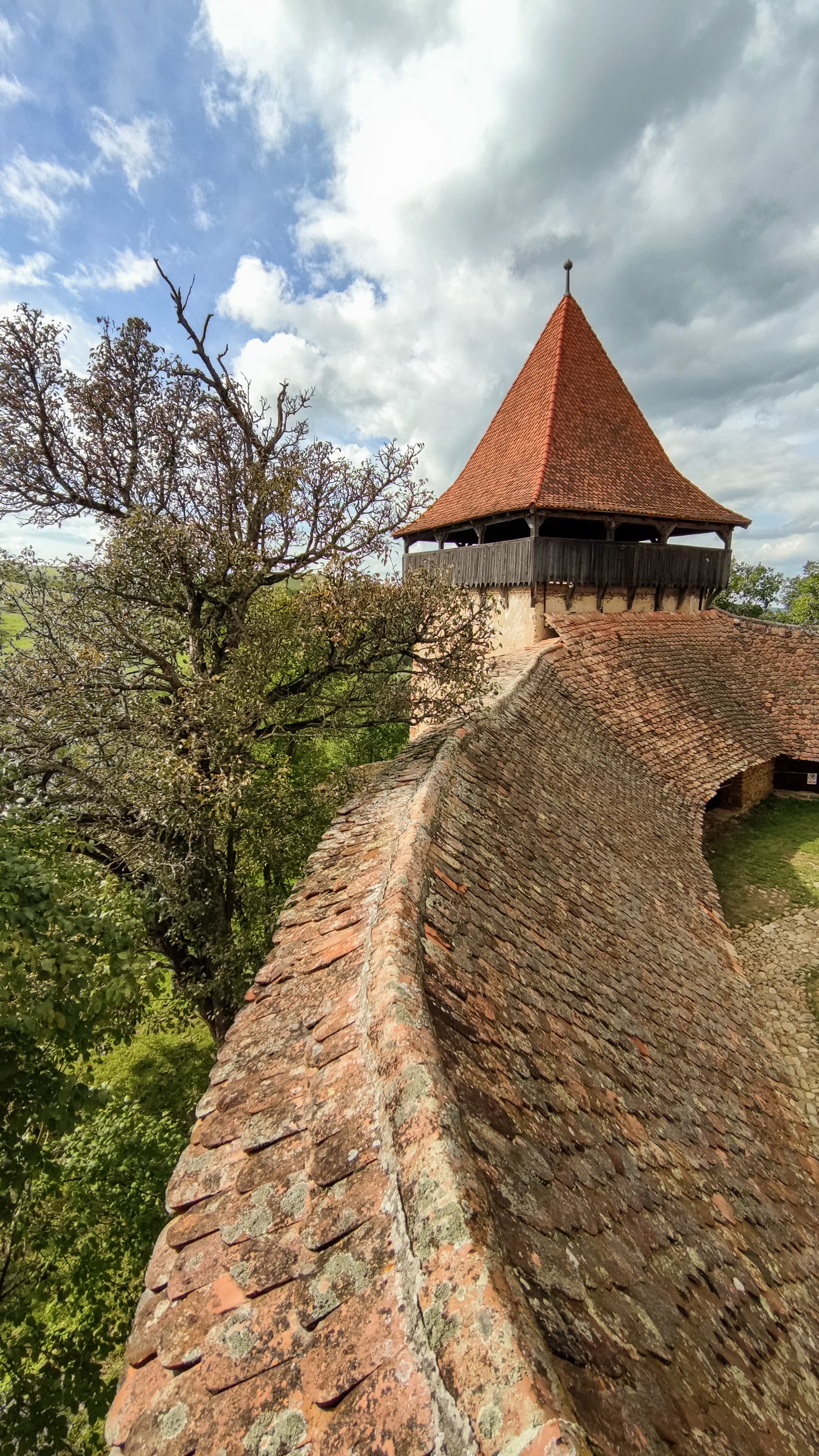 zidul Bisericii Fortificate din Viscri