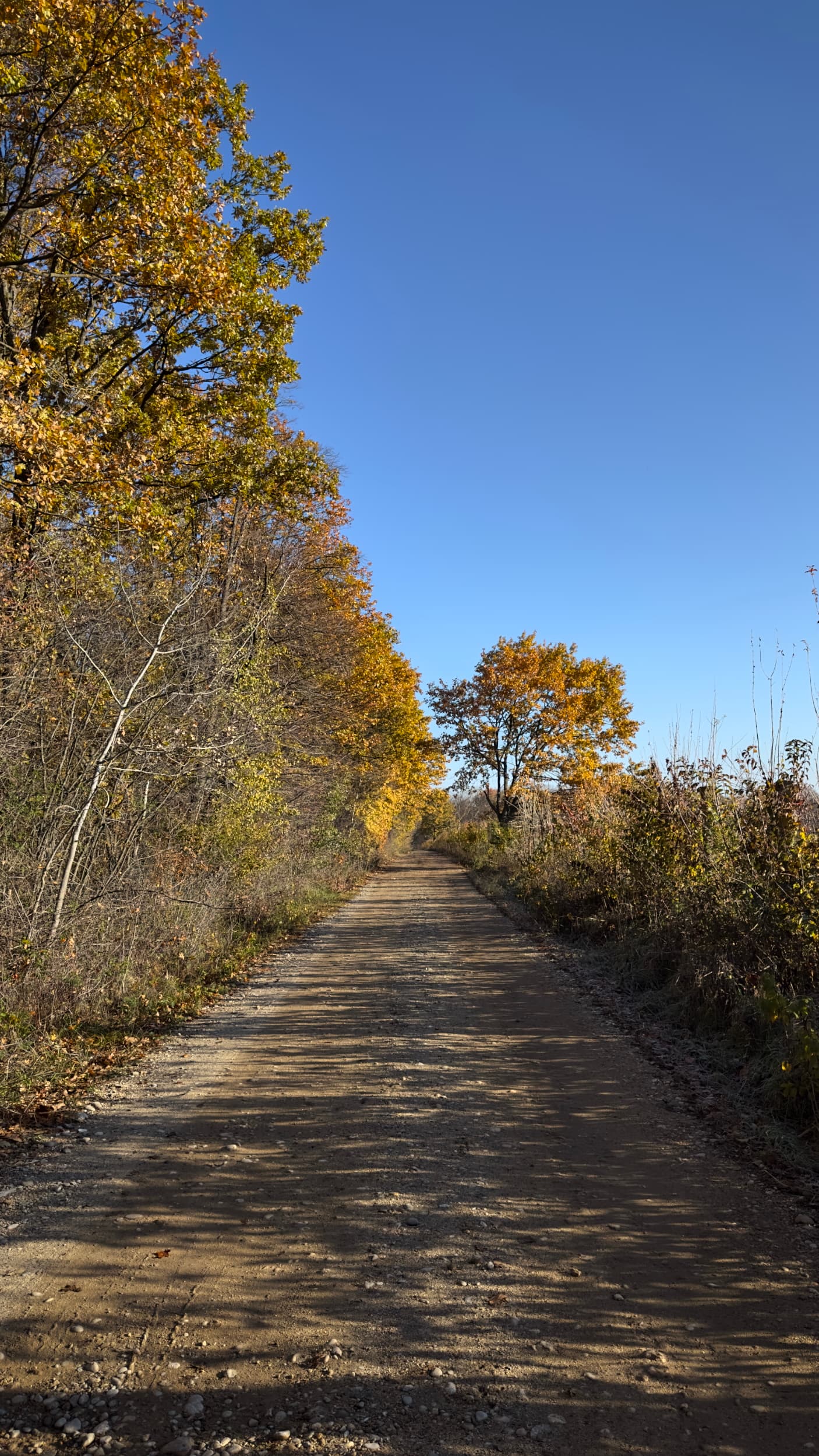 Negra Reservation - Road