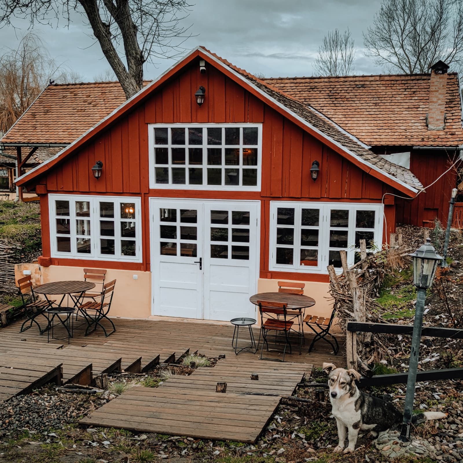 Valea Verde - a successful story of reviving a forgotten Transylvanian village